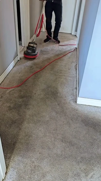 Post dust storm deep carpet clean in East Mesa Las Cruces