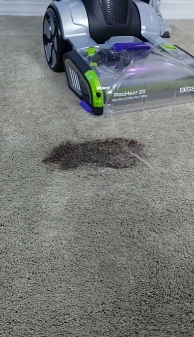 Pet stain treatment on carpet in a Las Cruces home