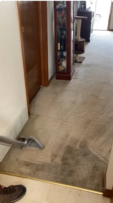 Dust and soil removed from fabric during professional cleaning