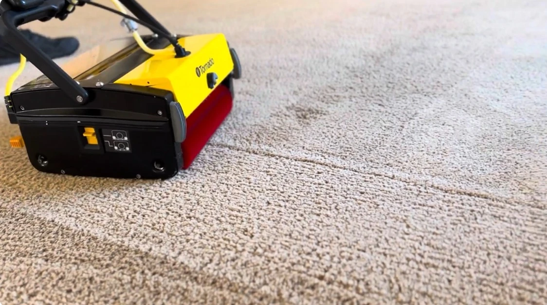 Professionally cleaned carpet result in Las Cruces NM