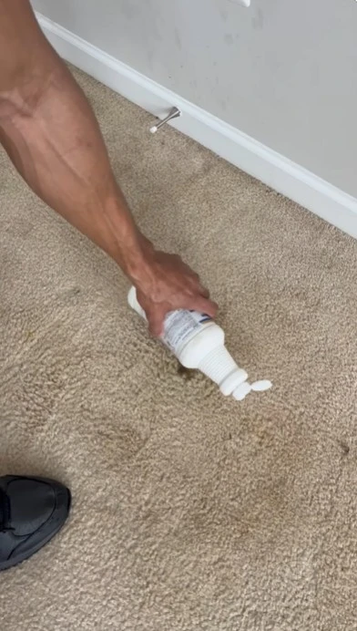 Spot carpet cleaning treatment result