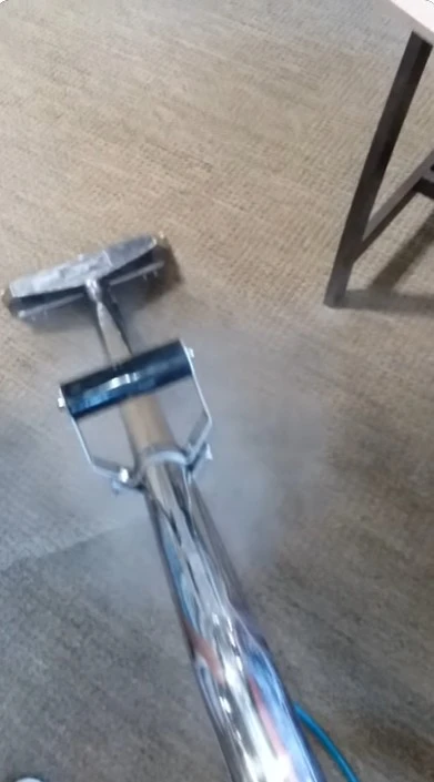 Steam carpet cleaning process in a Las Cruces home