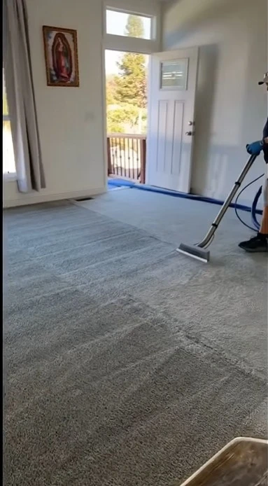 Move out carpet cleaning near NMSU University Park Las Cruces
