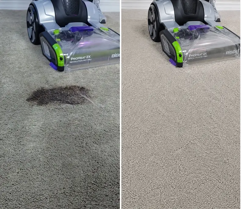 Before and after carpet cleaning in a Las Cruces move-out unit